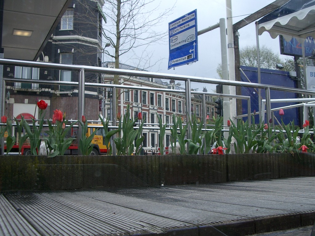 IMGP2891