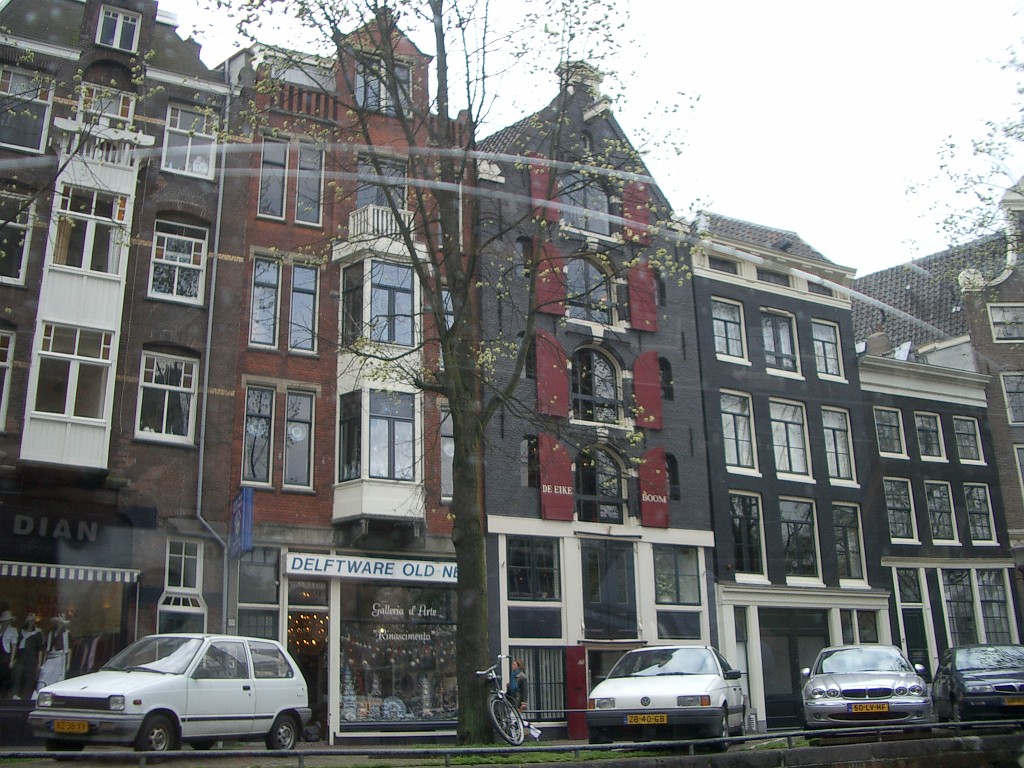 IMGP2896