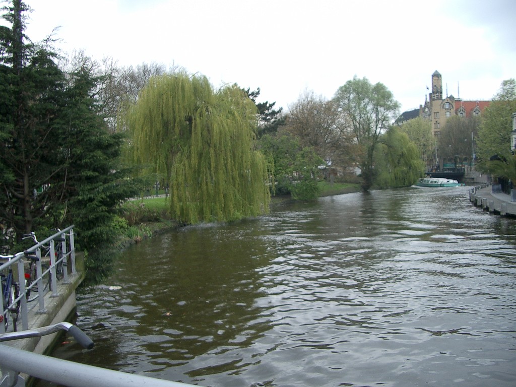 IMGP2925