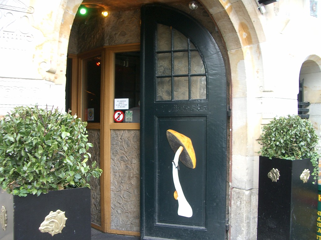IMGP2939