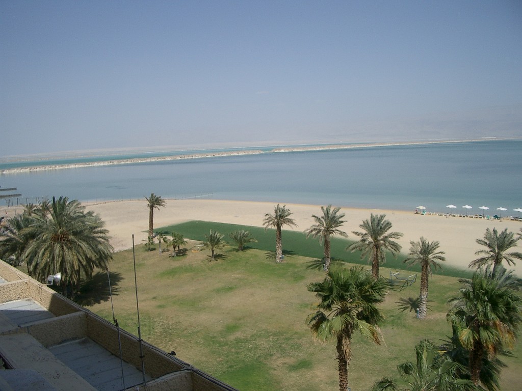 IMGP2951