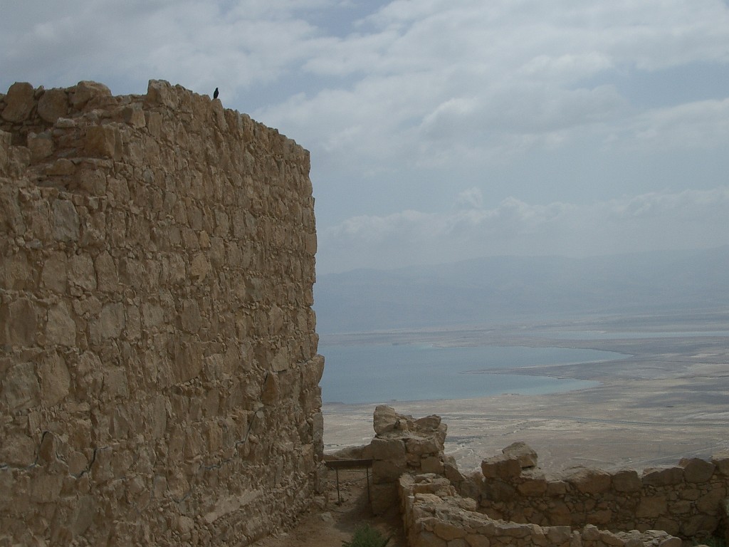 IMGP2974