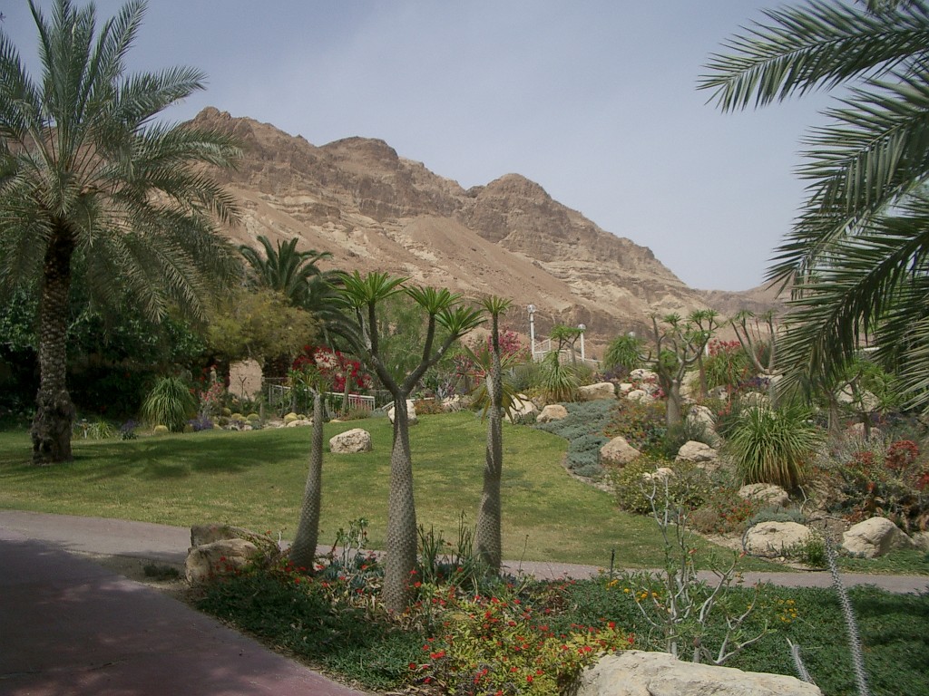 IMGP3025