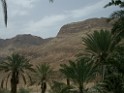IMGP3017 