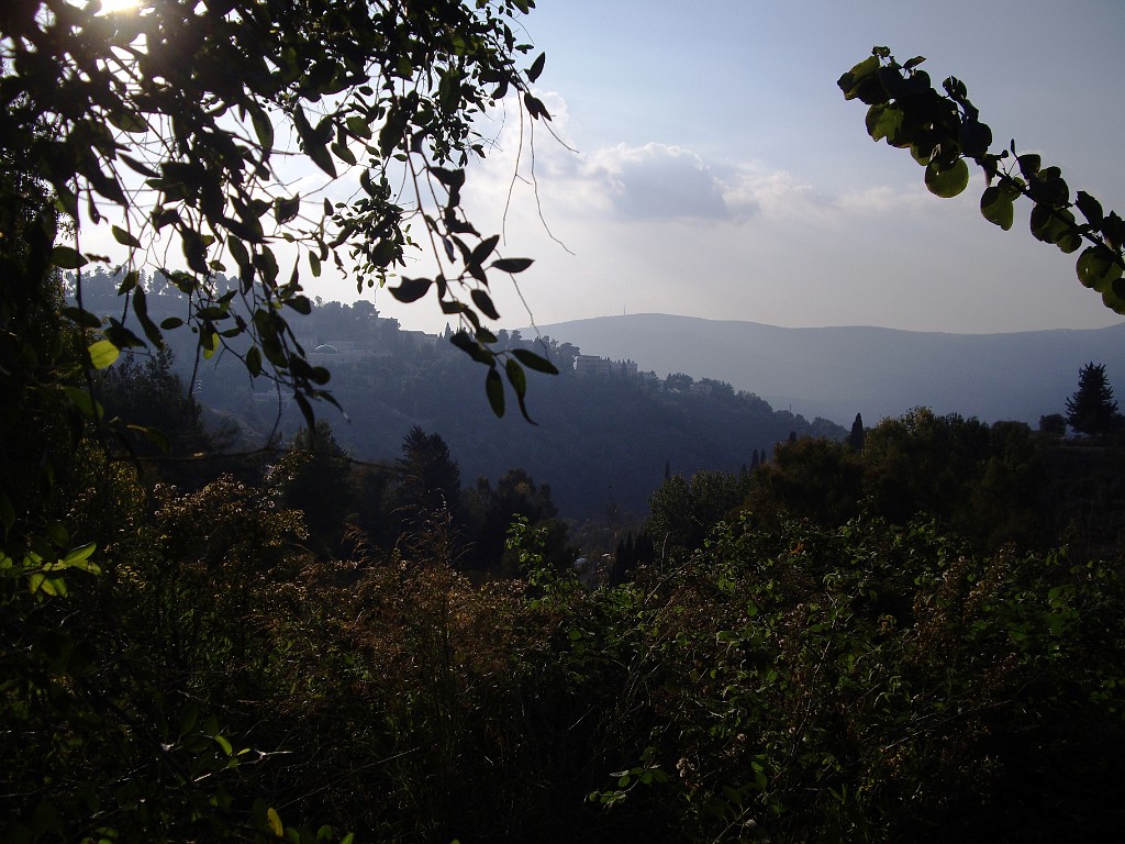 Israel2008-7470