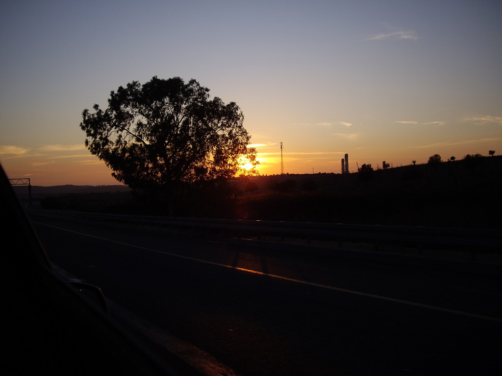 Israel2008-7487