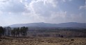 Israel2008-7284 