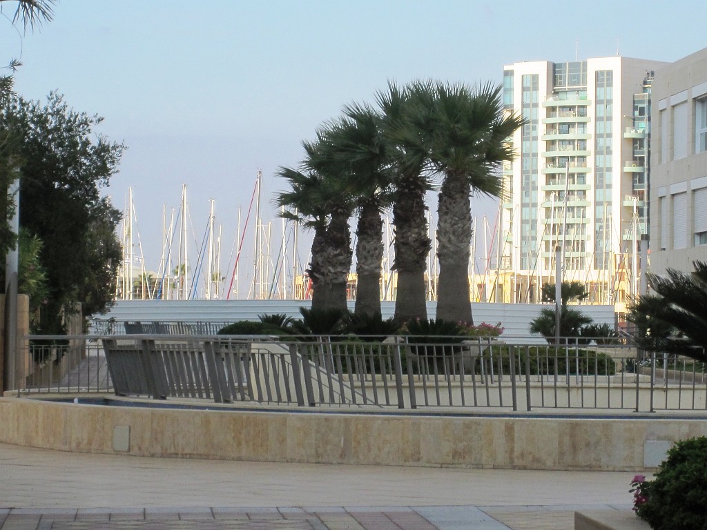 israel2011-IMG_3486