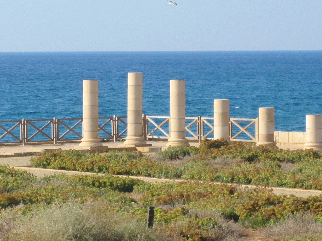 israel2011-IMG_3547
