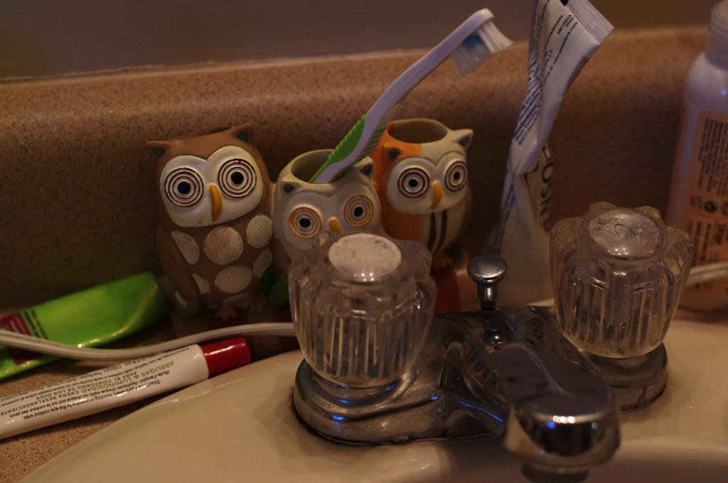 2013-owls-teapots-IMGP3830