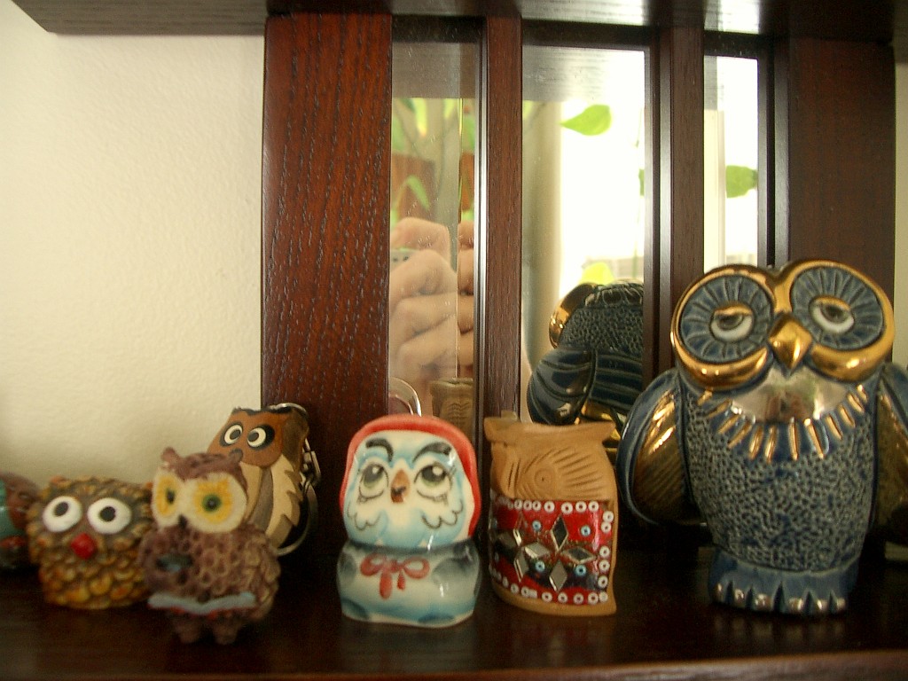 owls-teapots-4595