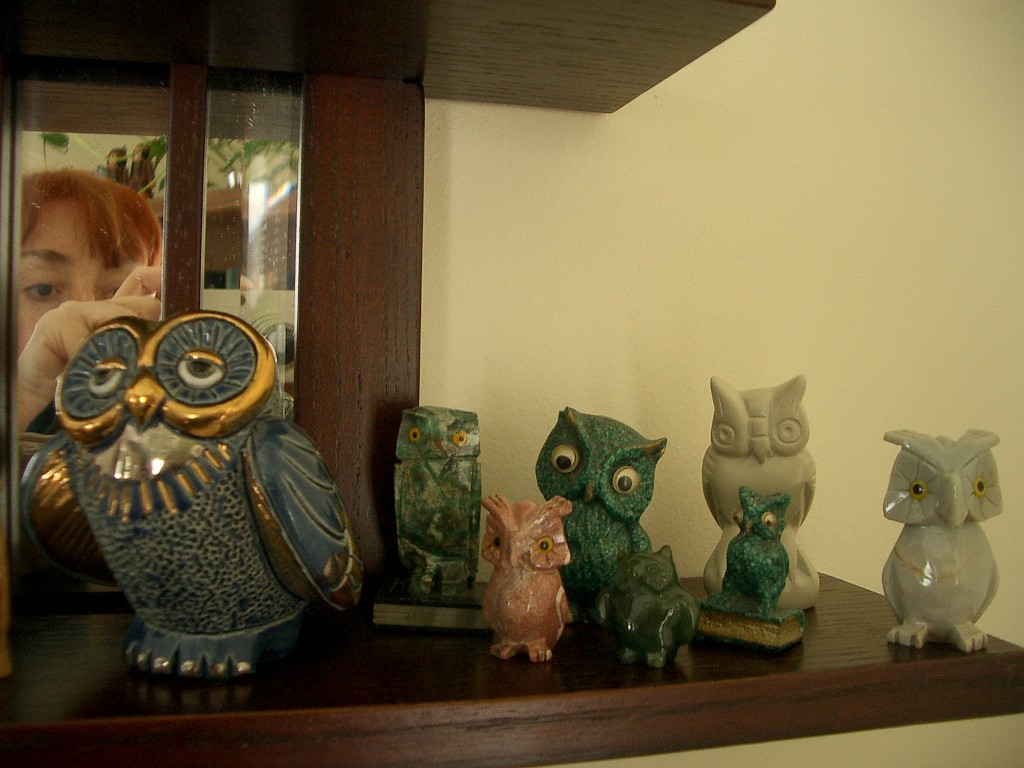 owls-teapots-4596