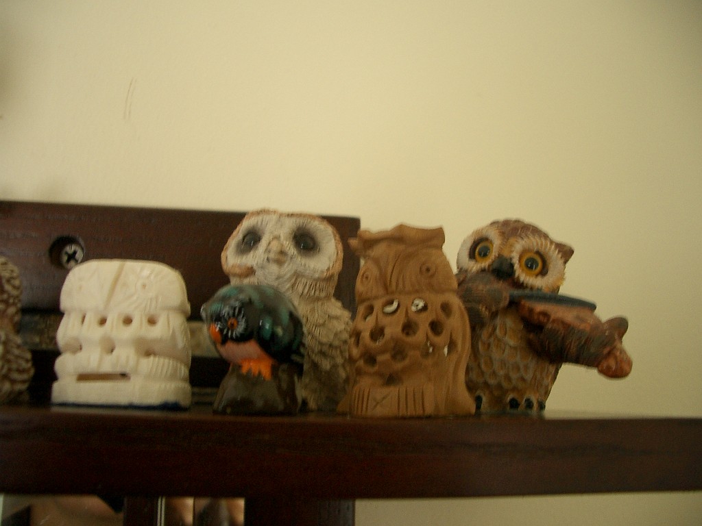 owls-teapots-4597