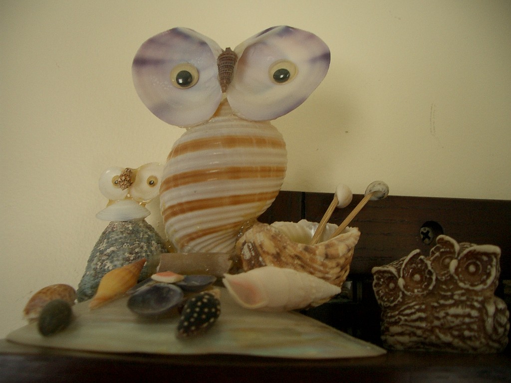 owls-teapots-4598