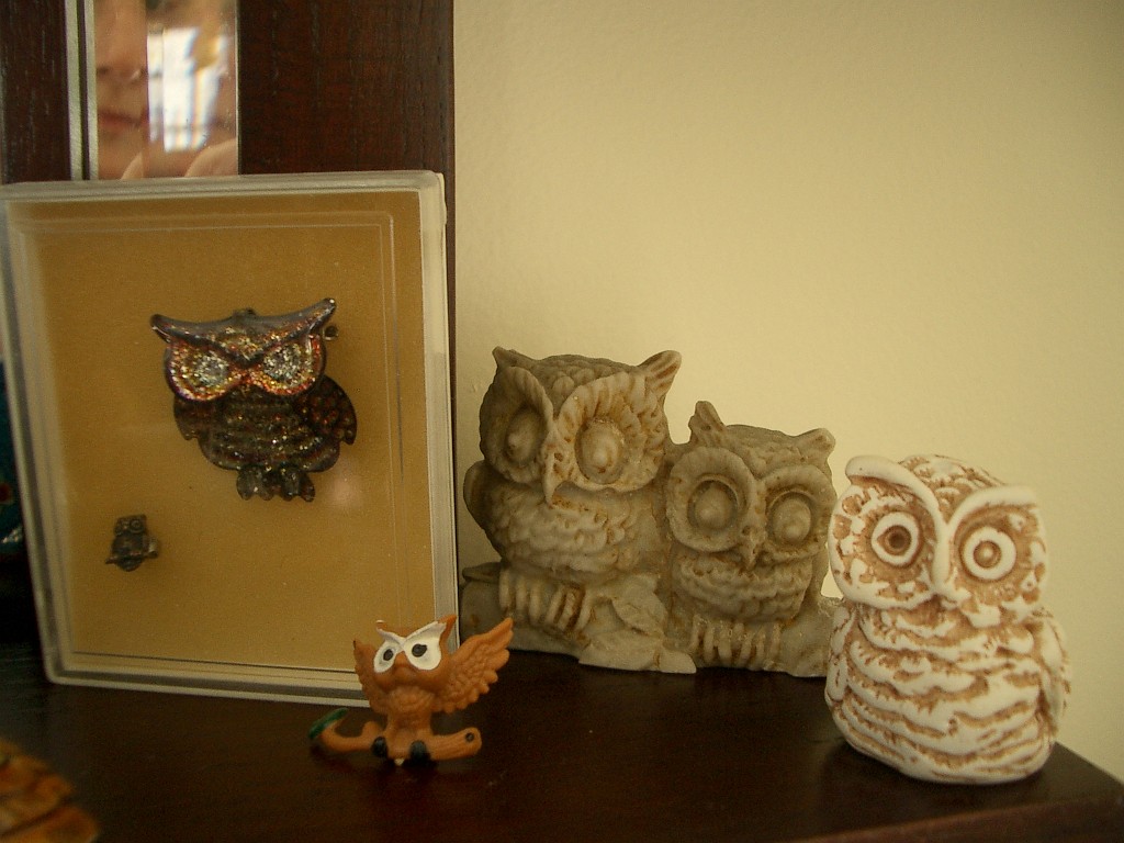 owls-teapots-4599