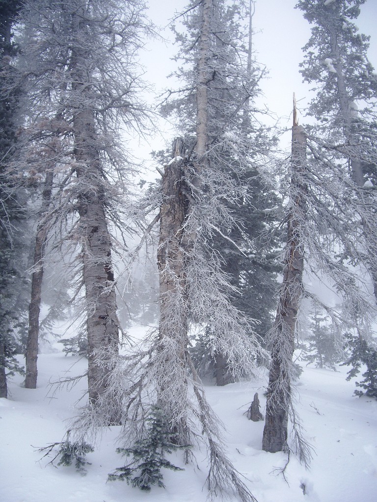 utah2010-9752