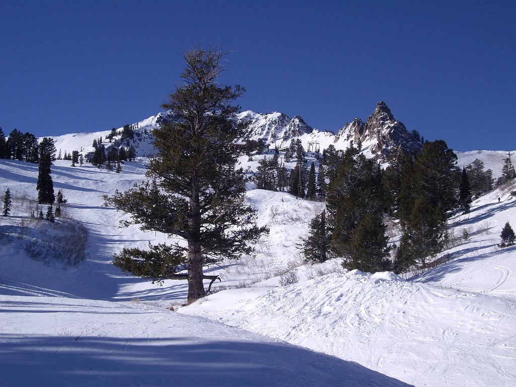 utah2010-9778