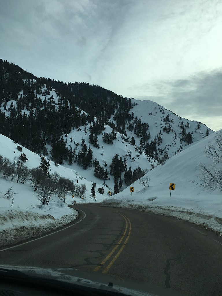 IMG_1780