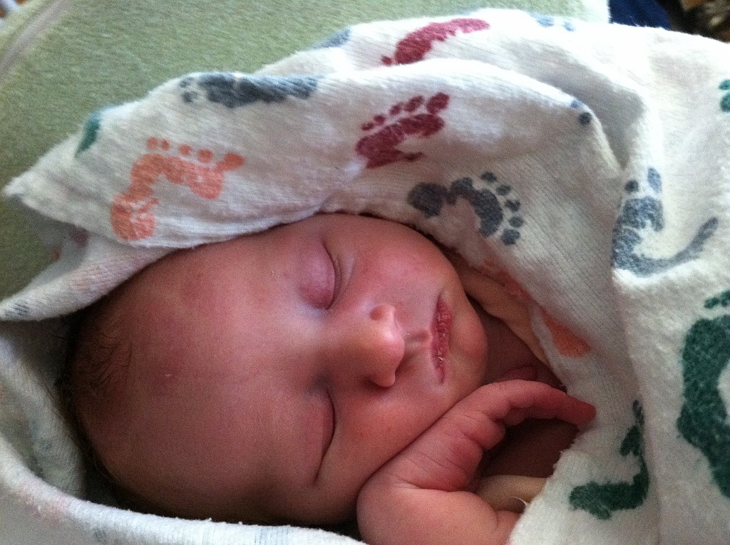 fall2012-Leela-sleeps